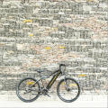 1000w BAFANG Mid Drive New Design niedrigen Preis E-Bike, Berg ebike